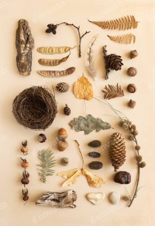 Preview: Flat lay autumn composition various nature mfterials
