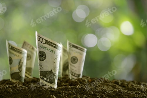 Preview: Rolled bank notes on soil