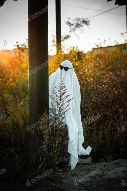 Preview: autumn