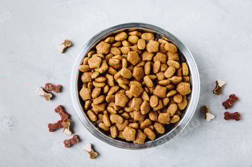 Preview: Dog food. Dried pet dog food in bowl on gray stone background