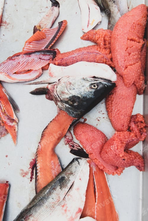 Preview: Fresh caught coho salmon filleted with meat, eggs and head on cutting board