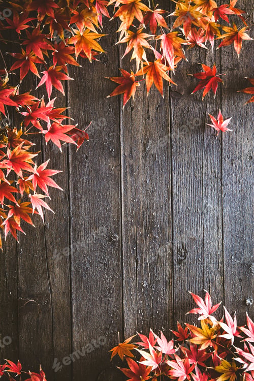 Autumn Leaves Bordering Wood Texture Background