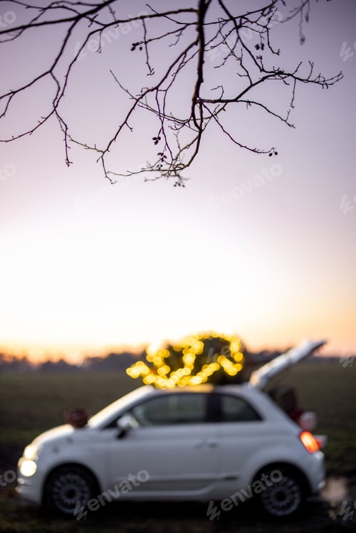 Preview: Car with Christmas tree on a rooftop on nature