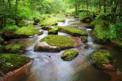 Preview: Creek in the scenic green forest flowing through the mossy rocks