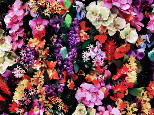 Preview: Floral background