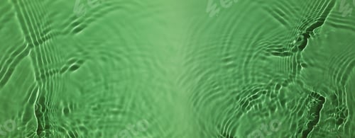 Preview: Natural Green Texture. Nature Concept. Green Freshness Smooth Water Ripple
