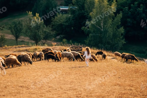 Preview: Beautiful meadow with a little girl and animals sheep