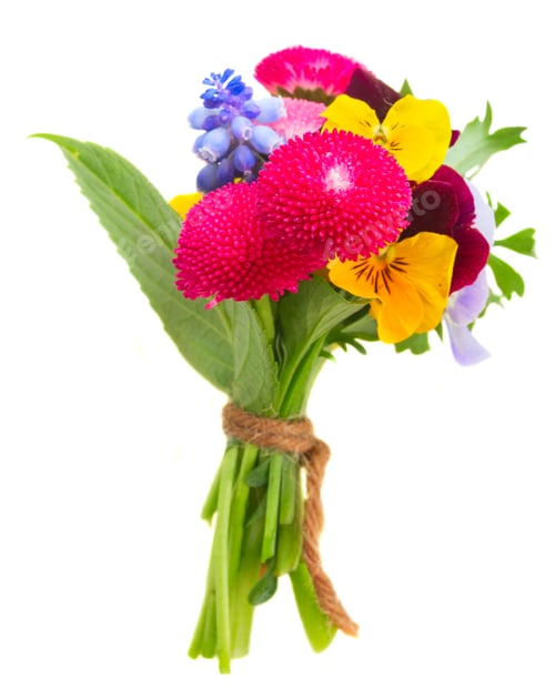 Preview: Posy of violets, pansies and ranunculus