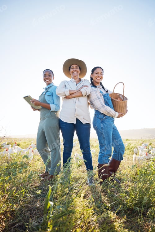 Preview: Chicken, women and a working together on a farm with technology for inspection and quality control.