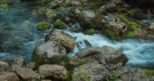 Preview: Mountain stream with crystal clear water flows in coniferous forest. Pine trees and riverin Austria.