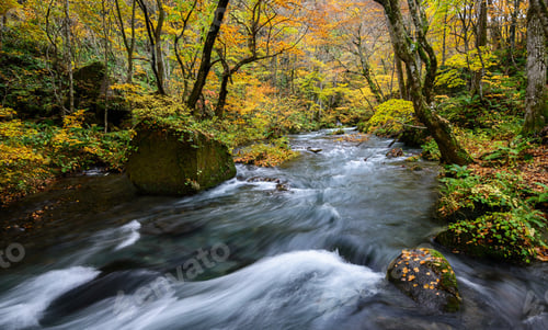 Preview: A Creative and Beautiful Japan pictures