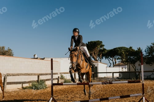 Preview: young woman in equestrian equipment jumps over an obstacle with her horse at an exhibition