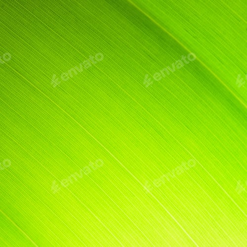 Visualização: resumo de folha