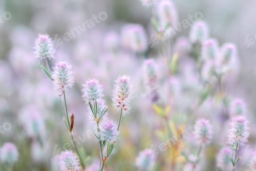Preview: Natural floral background