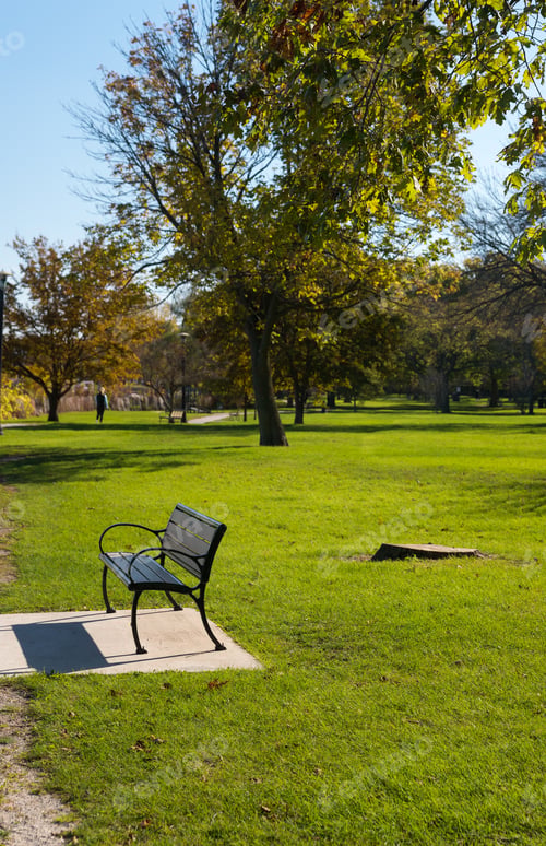 Preview: Metal Bench In The Park In Evanston