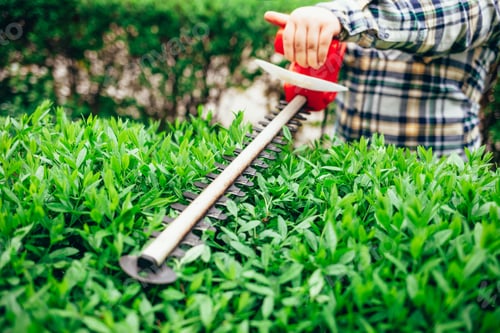 Preview: Cutting a shrub with an electric brush cutter