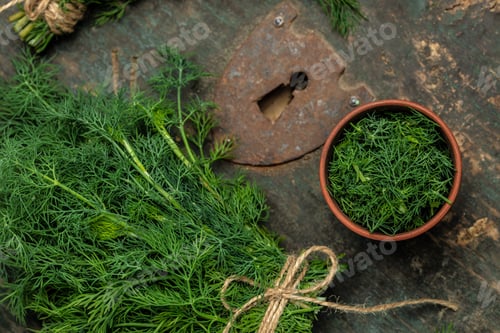 Preview: Fresh dill close up on wooden box