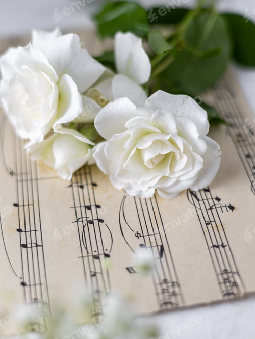 Preview: Flowers on the music notes