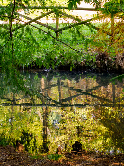 Preview: Autumn at Parco Sempione, Milan
