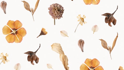 Preview: Natural dried flower wallpaper pattern