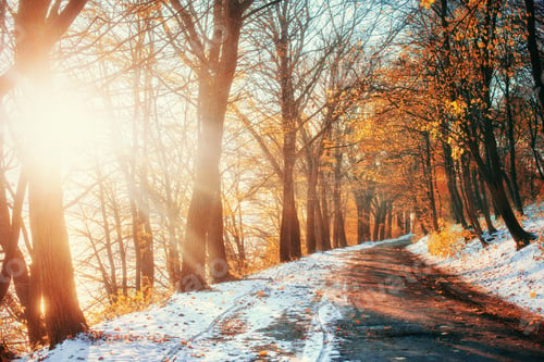 Preview: First snow in the forest. Beauty world. Road
