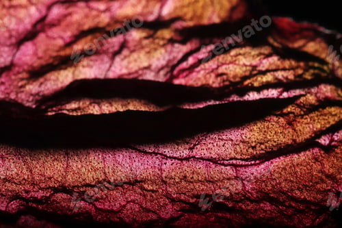 Preview: Dry Leaf Texture Abstract Background