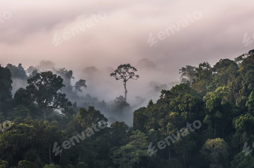 Preview: beautiful scenary of mist with mountain range at PanoenThung view point in Kaeng Krachan