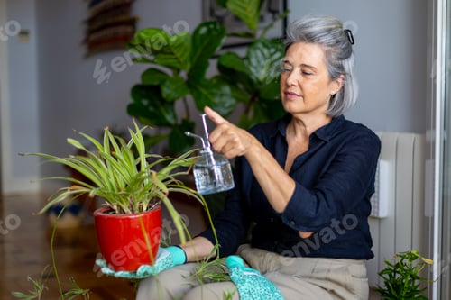 Preview: Woman tending houseplants in bright, comfortable home