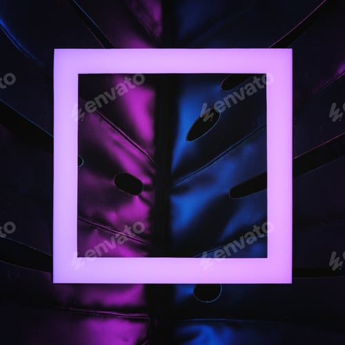 Preview: Moody leaf monstera and jungle in the tropics with white frame copy space in bright neon light