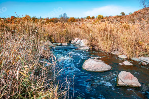 Preview: A fast clean stream runs among smooth wet stones surrounded by tall dry lumps