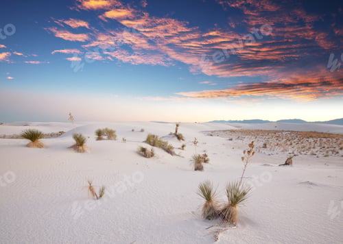 Preview: White Sand Dunes