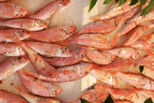 Preview: Red fish stacked on ice at fish market.
