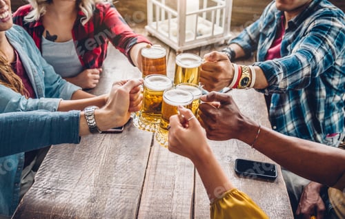 Preview: Group of people enjoying and toasting a beer in brewery pub