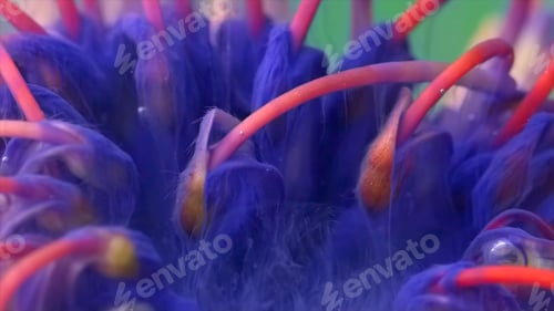 Preview: Ink with flower stamens. Stock footage. Close-up of bright flower stamens with bubbles and ink