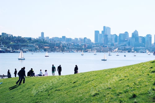 Preview: Summer in the city