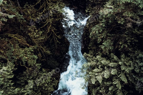 Preview: Down view of rough river in tropical forest valley on sunny day