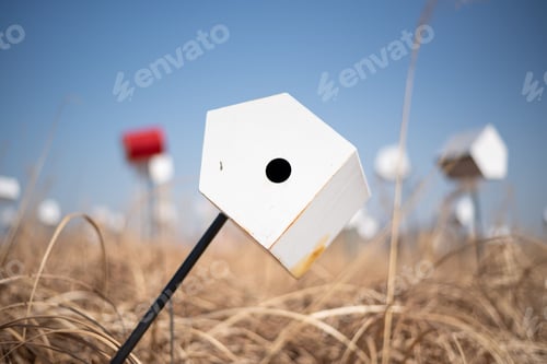 Preview: Close-up shot of a white birdhouse in a tall brown grassy field