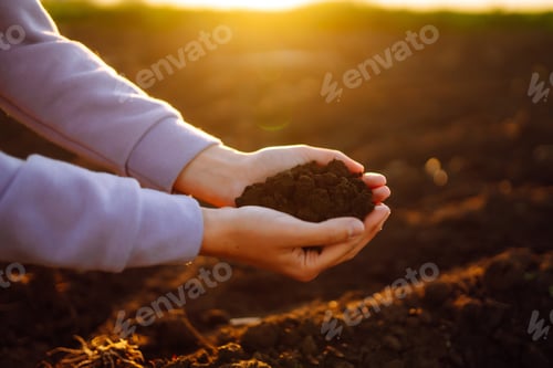 Preview: Hand of expert farmer collect soil. Farmer is checking soil quality before sowing. Agriculture.