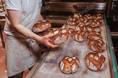 Preview: Baker working in the kitchen, preparing loaves of bread