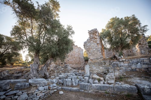 Preview: View of the ruins of Iasos Ancient City in the morning sun. Kiyikislacik, Milas, Mugla, Turkey.