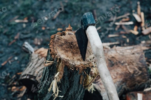 Preview: ax in the tree stump chopping wood outdoors travel