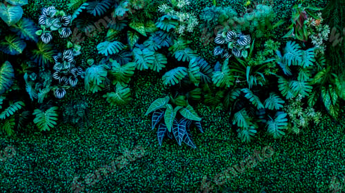 Preview: Herb wall, plant wall, natural green wallpaper and background. nature wall.