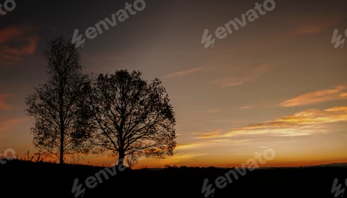 Preview: sunrise on the meadow with hills in background and tree in focus