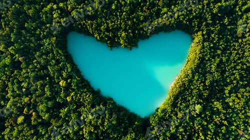 Preview: Beautiful heart lake in a green dense forest, bird's eye view. Love for nature