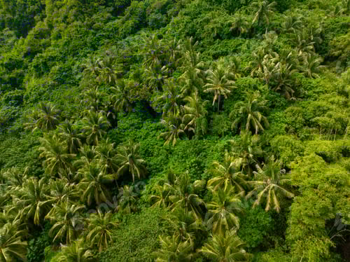 Preview: Top view of the mountain