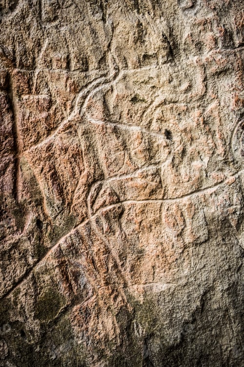 Preview: Fragment of petroglyph in Gobustan,
