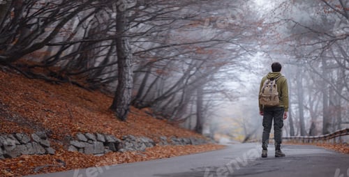 Preview: Young handsome man posing in autumn forest.