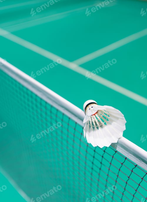 Preview: new shuttlecock on badminton net