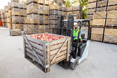 Preview: Distribution, sales, production, farm agribusiness in warehouse