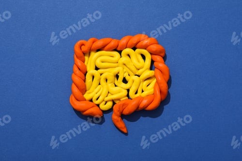 Preview: Concept of health care, stomach and intestinal problems